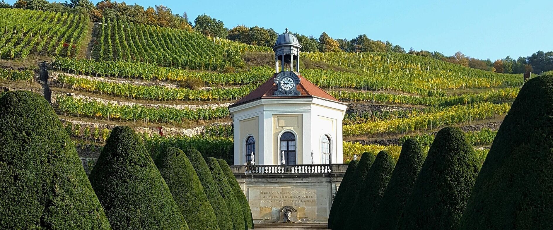 Immobilienmakler Radebeul – Wohnen in den Weinbergen